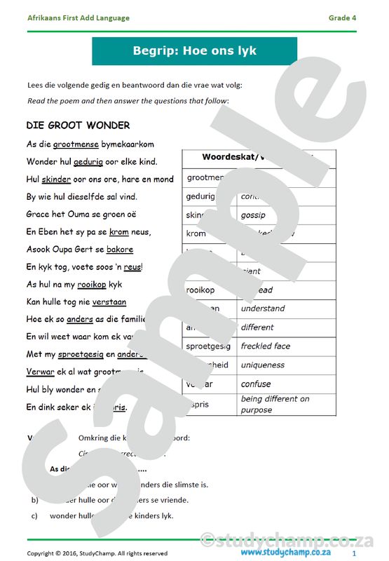 Grade 4 Afrikaans Begrip: Hoe ons lyk