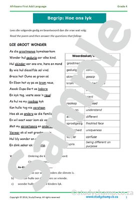 Grade 4 Afrikaans Begrip: Hoe ons lyk
