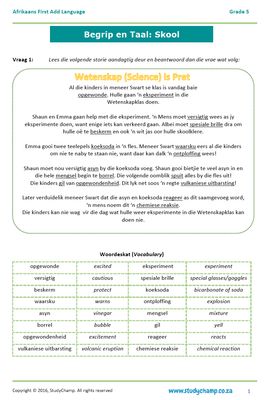 Grade 5 Afrikaans Begrip en Taal: Skool