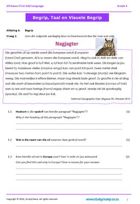 Grade 5 Afrikaans: Begrip en Visuele Begrip