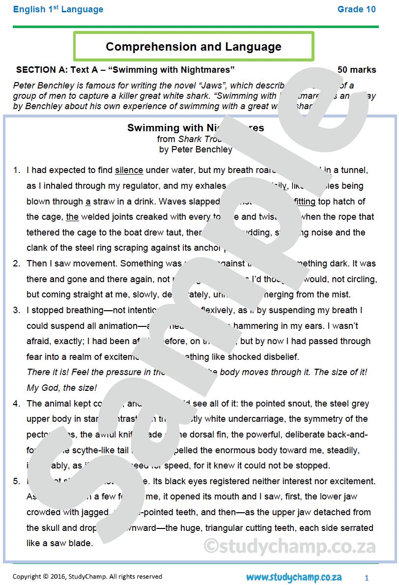 Grade 10 Full Subjects Bundle