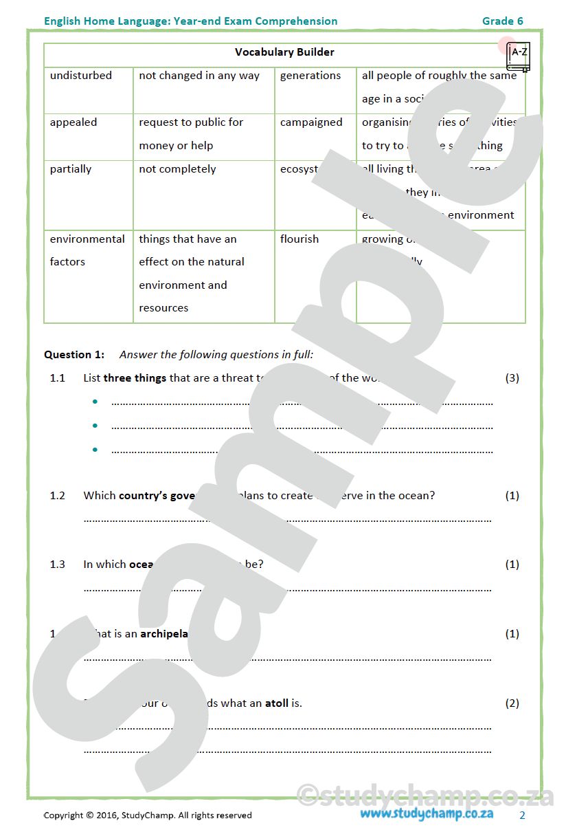 Grade 6 English Year-end Exam Revision: Comprehension and Visual Literacy