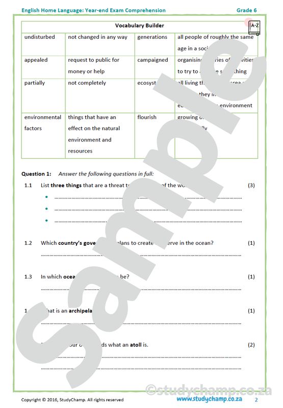 Grade 6 English Year-end Exam Revision: Comprehension and Visual Literacy