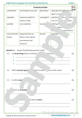 Grade 6 English Year-end Exam Revision: Comprehension and Visual Literacy