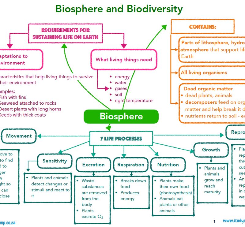 Grade 7 Natural Sciences Summary: Biosphere and Biodiversity