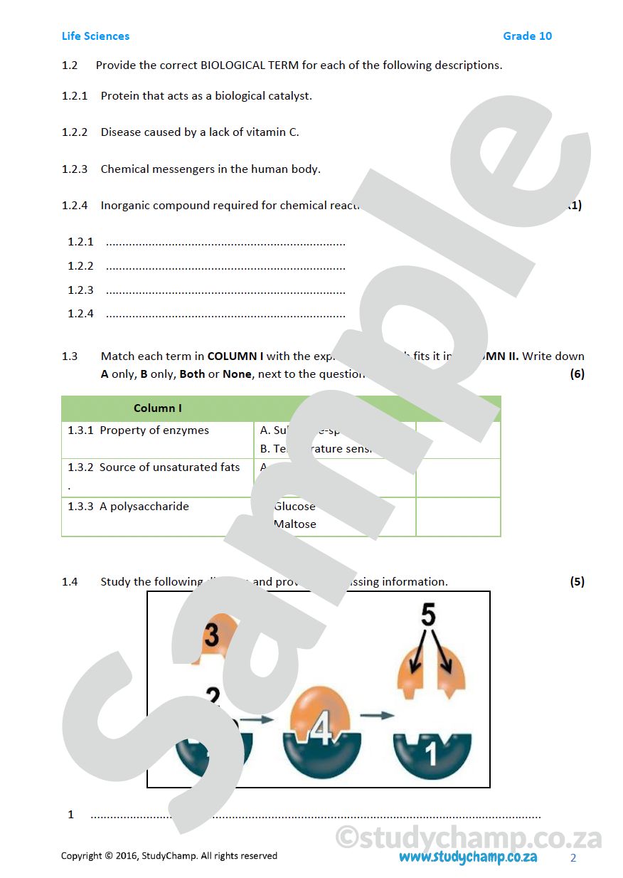 Grade 10 DOE Life Sciences Test: Chemistry of Life