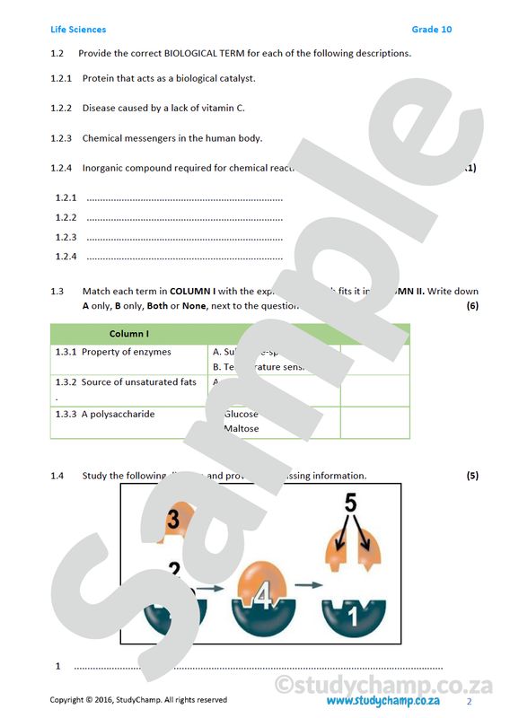 Grade 10 DOE Life Sciences Test: Chemistry of Life