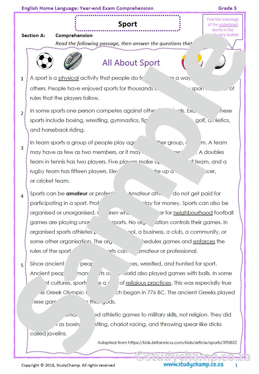 Grade 5 English Year-end Exam: Comprehension and Visual Literacy