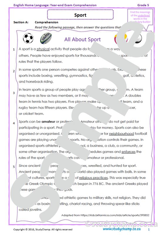 Grade 5 English Year-end Exam: Comprehension and Visual Literacy