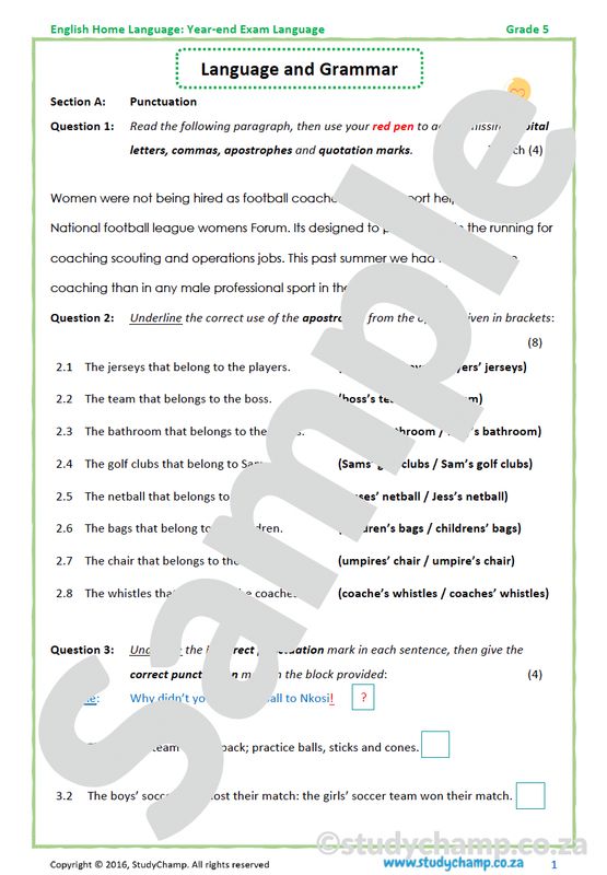 Grade 5 English Year-end Exam workbook: Language and Grammar