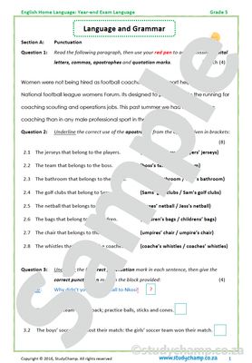 Grade 5 English Year-end Exam workbook: Language and Grammar