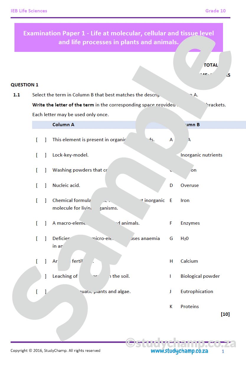 Grade 10 IEB Life Sciences Exam Paper
