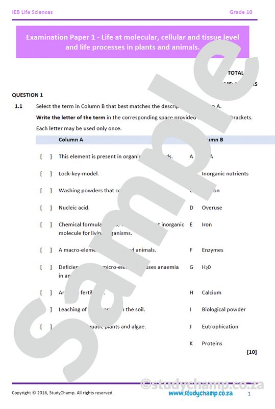 Grade 10 IEB Life Sciences Exam Paper