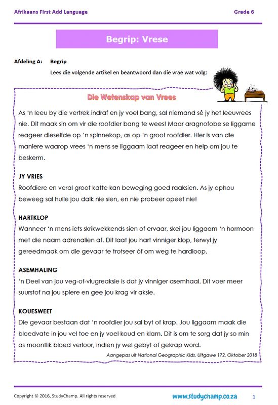 Grade 6 Afrikaans Begrip, Taal en Visuele Begrip: Vrese