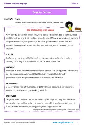 Grade 6 Afrikaans Begrip, Taal en Visuele Begrip: Vrese