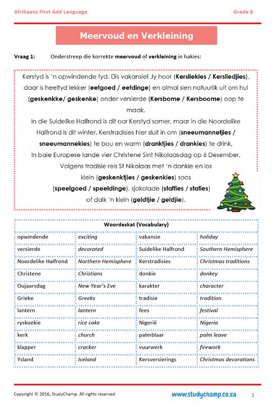 Grade 6 Afrikaans: Meervoud en Verkleining