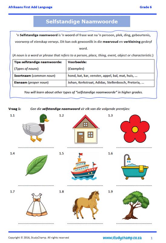 Grade 6 Afrikaans: Woordsoort - Selfstandige naamwoorde