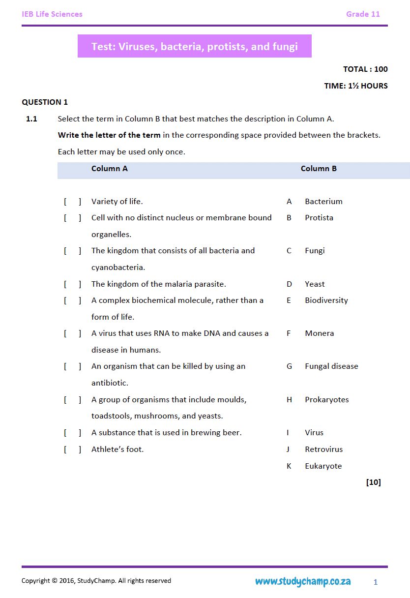 Grade 11 Life Sciences (IEB) Test: Viruses, bacteria, protists and fungi