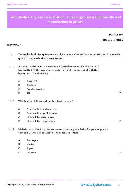 Grade 11 Life Sciences Test (DOE): Biodiversity and Classification, Micro-organisms and Plant reproduction