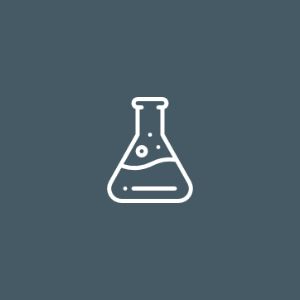 Grade 11 Life Sciences (IEB)