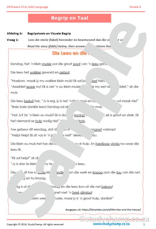 Grade 4 Afrikaans Year-end Exam: Comprehension and Language Workbook