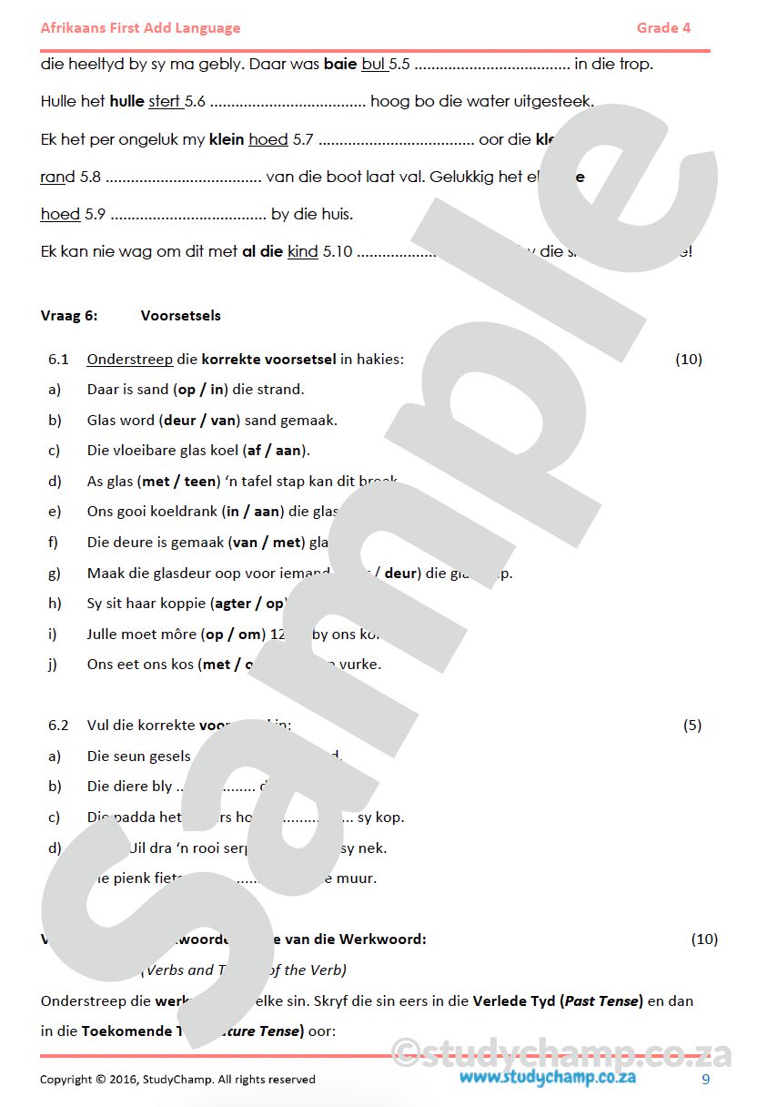 Grade 4 Afrikaans Year-end Exam: Comprehension and Language Workbook