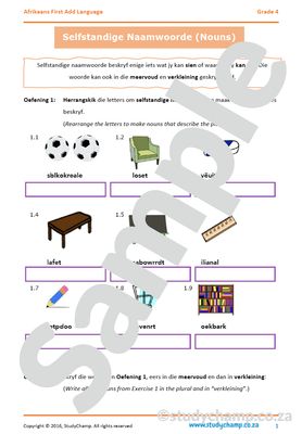 Grade 4 Afrikaans: Selfstandige naamwoorde en Werkwoorde