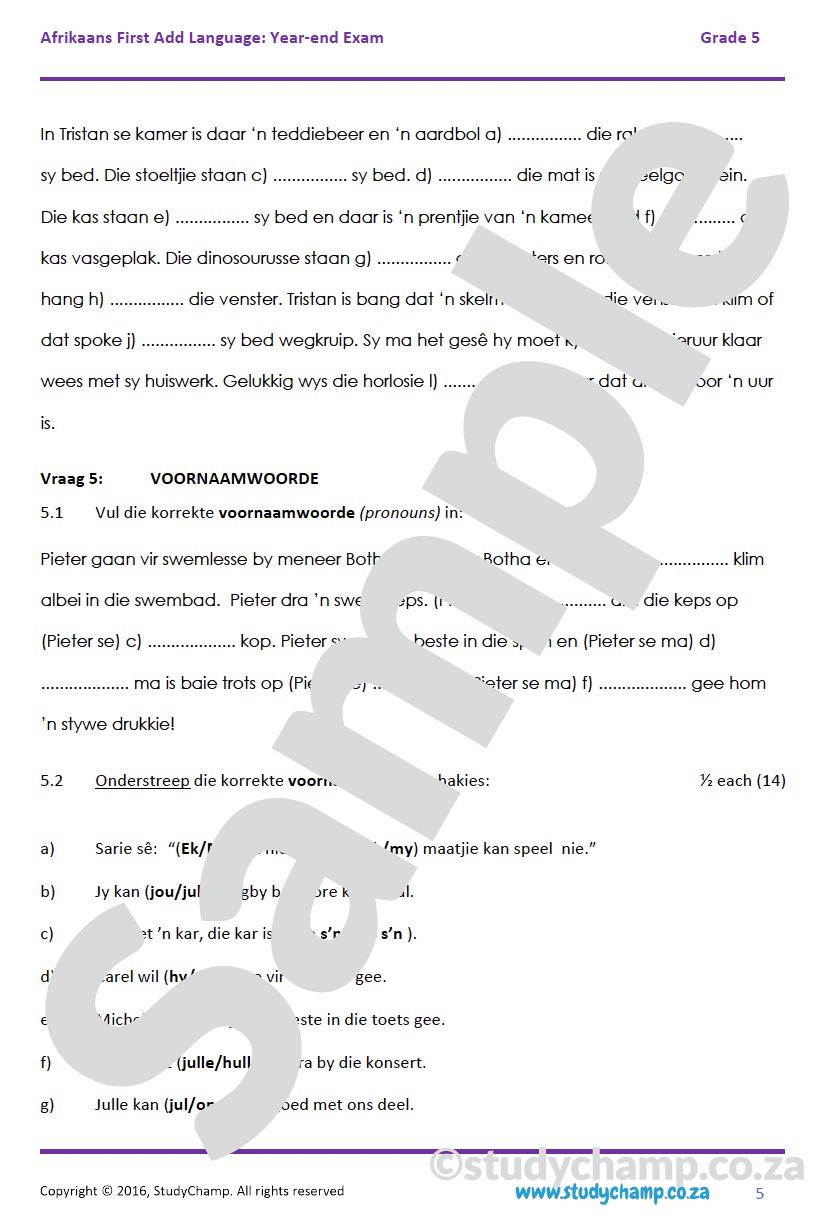 Grade 5 Afrikaans Year-end Exam: Language workbook