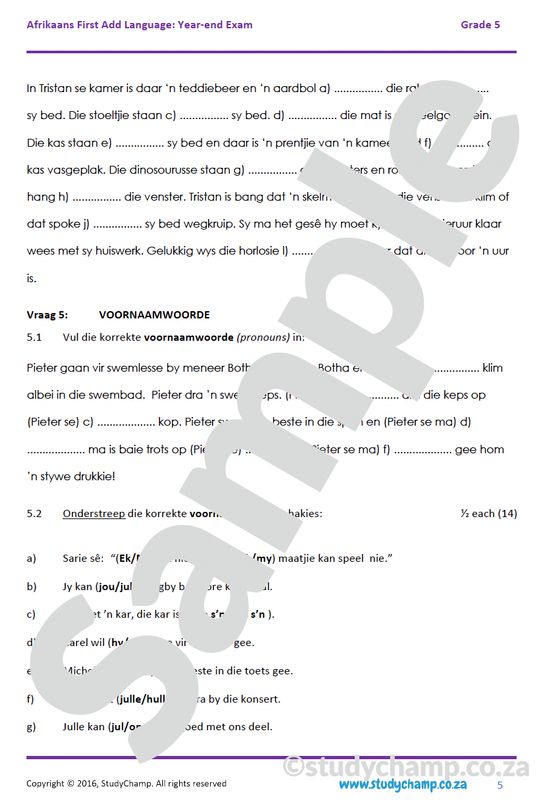 Grade 5 Afrikaans Year-end Exam: Language workbook