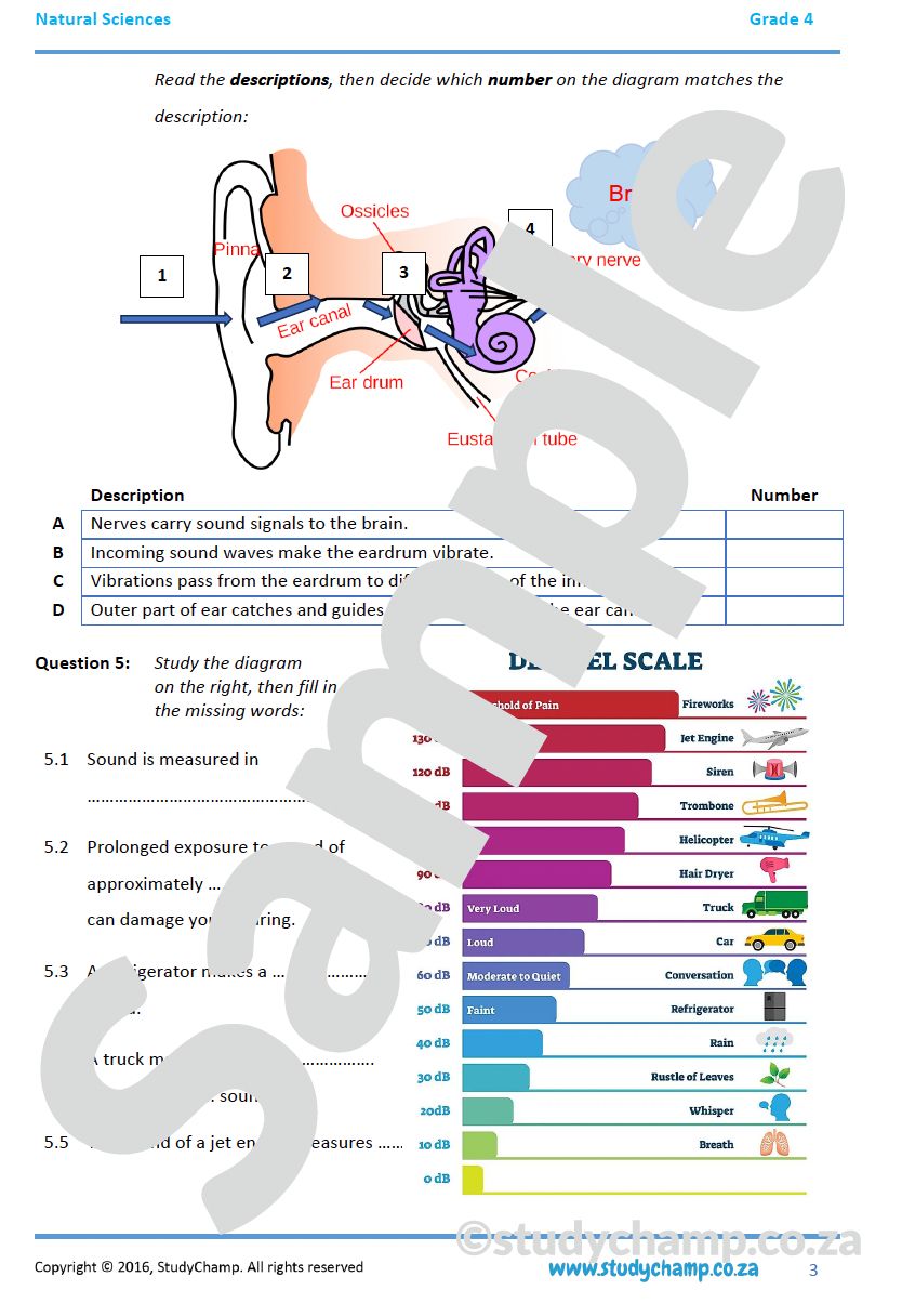 Grade 4 Natural Sciences Test: Energy and Sound