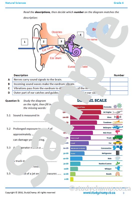 Grade 4 Natural Sciences Test: Energy and Sound