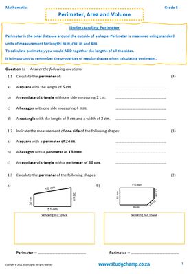 Grade 5 Mathematics Worksheet: Measurement - Perimeter, Area and Volume