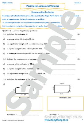 Grade 5 Mathematics Worksheet: Measurement - Perimeter, Area and Volume