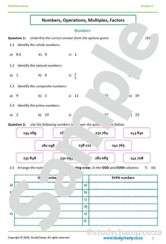 Grade 6 Maths Mid-year Exam Revision: Workbook 1