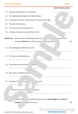 Grade 6 English Worksheet: Active and Passive Voice