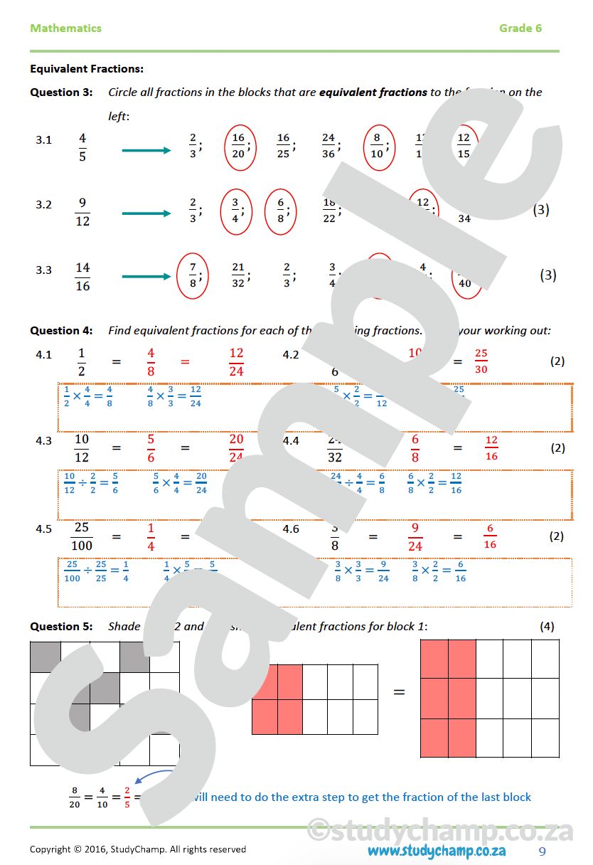 Grade 6 Maths Worksheet: Common Fractions