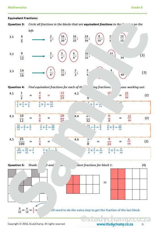 Grade 6 Maths Worksheet: Common Fractions