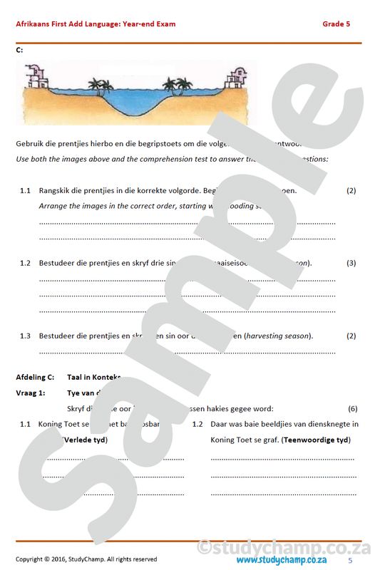 Grade 5 Afrikaans Year-end Exam: Comprehenson