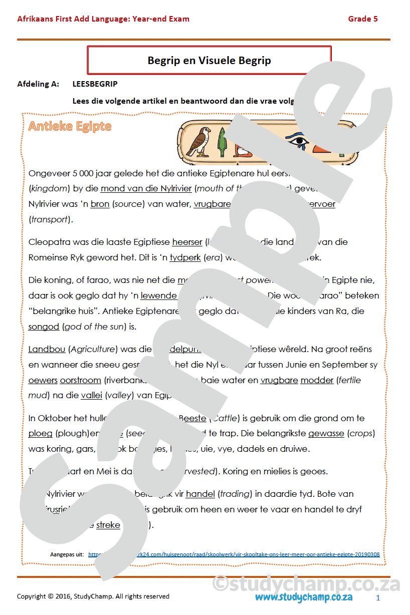 Grade 5 Afrikaans Year-end Exam: Comprehenson