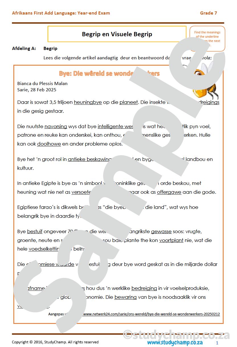 Grade 7 Afrikaans Year-end Exam Revision: Comprehension and Visual Literacy