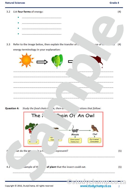 Grade 4 Natural Sciences Test: Energy and the Sun