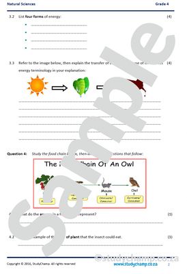 Grade 4 Natural Sciences Test: Energy and the Sun