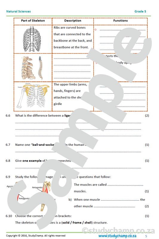 Grade 5 Natural Sciences: Mid-year Exam Workbook