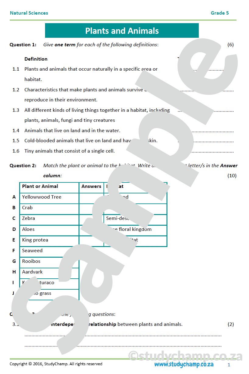 Grade 5 Natural Sciences: Mid-year Exam Workbook