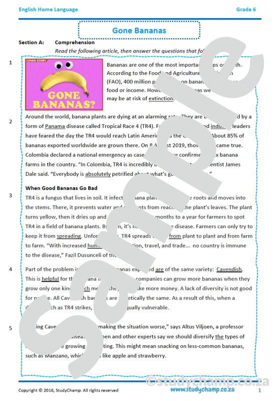 Grade 6 English Comprehension and Language: Bananas