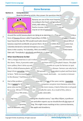 Grade 6 English Comprehension and Language: Bananas