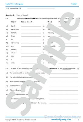 Grade 6 English Comprehension and Language: Bananas