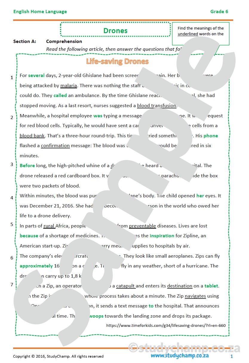 Grade 6 English Comprehension: Drones