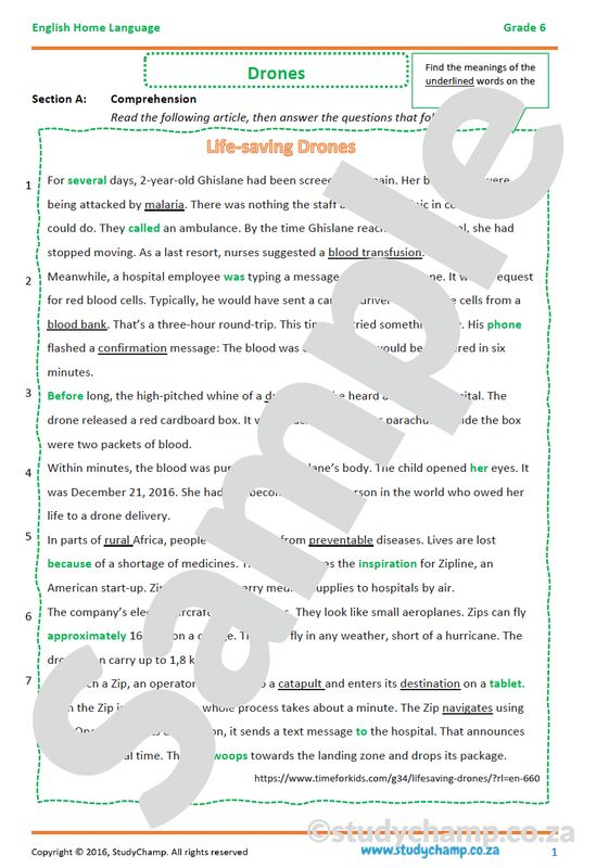 Grade 6 English Comprehension: Drones