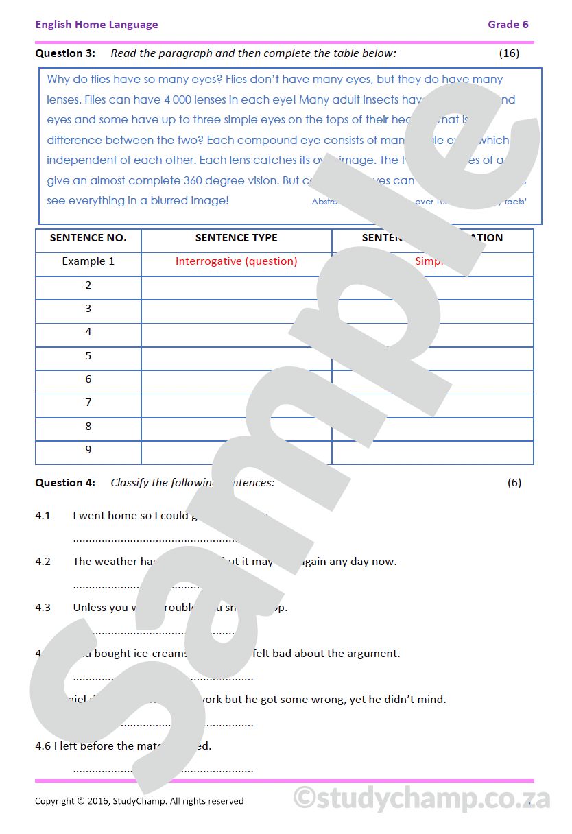 Grade 6 English Worksheet: Sentences - Types and Structure